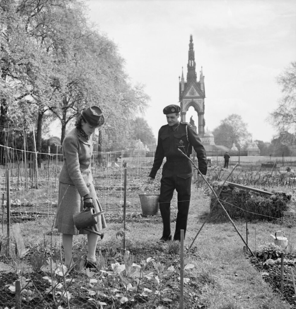 Dig for Victory allotment in Kensington Gardens in London during 1942